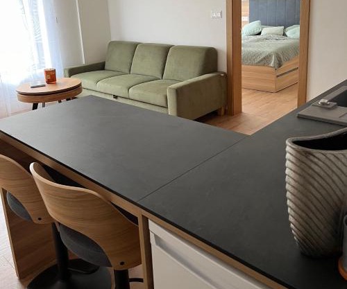 Apartment Bayerova
