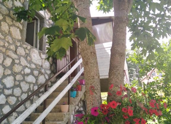 Apartment Dobre Vode
