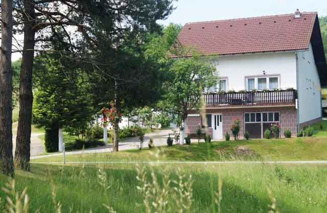 Apartment Drago