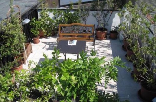 Apartment/flat - Venezia
