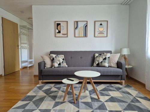 Apartment for 3, close to Zurich and Luzern, free private parking