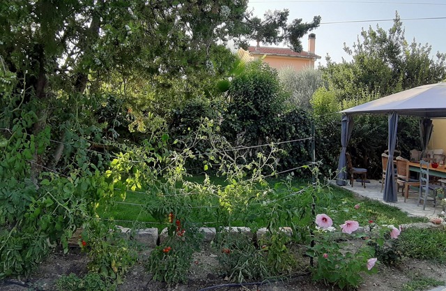 Apartment in the heart of Provence