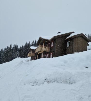 Apartment in Voss - Tråstølen