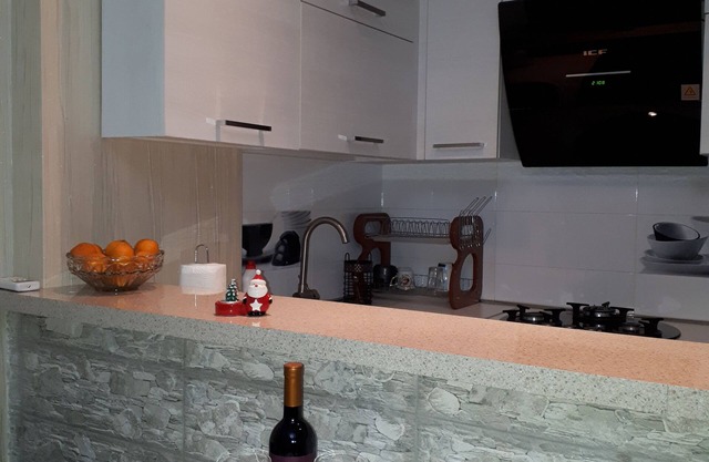 Apartment near Dinamo Arena and Central Station
