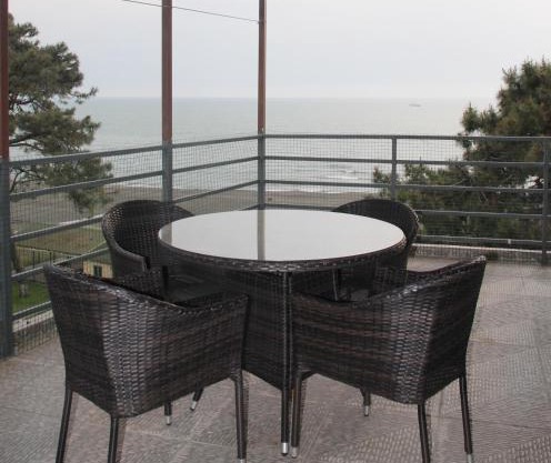 Apartment near the Black Sea Ureki