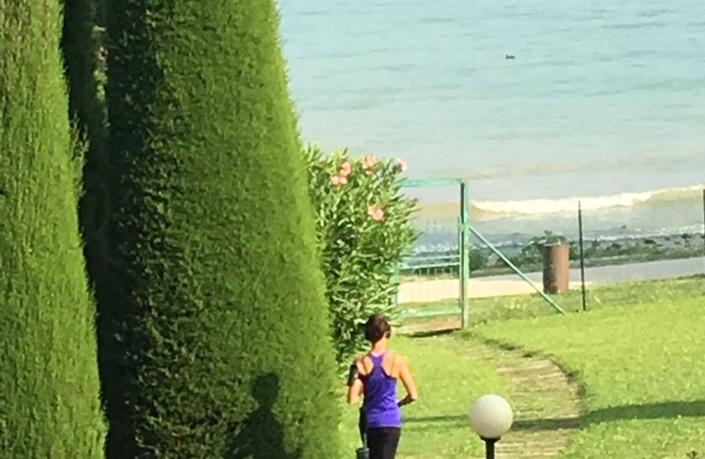 Apartment with direct access to lake and close to dog park