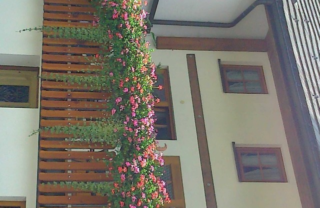 Apartment yellow - Haus Rosenhof