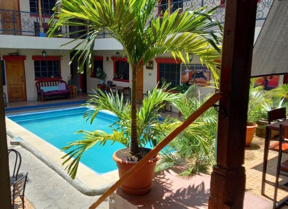 Aparto Hotel Don Gato