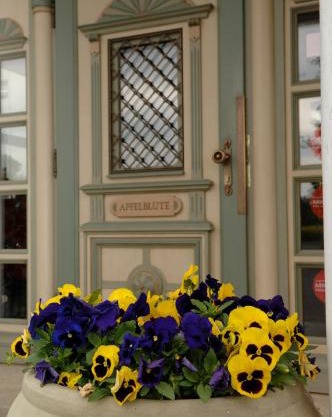 Apfelblüte bed & breakfast 8 km vom Bodensee