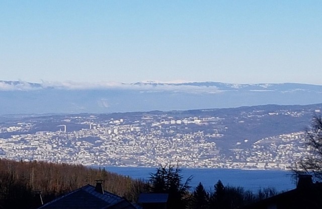 Appart 4 pers - Station - Thollon les memises - Evian