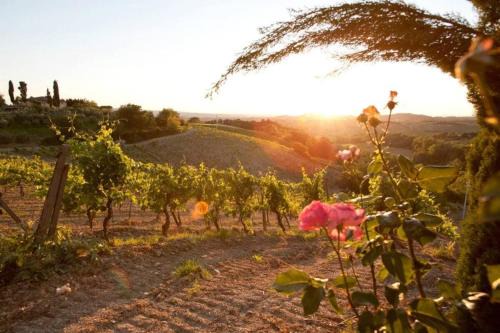 Appartamento Aster - Azienda Agricola Sotto il Masso
