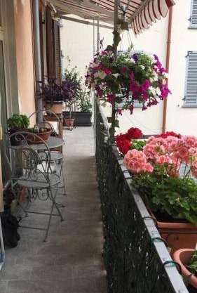 Appartamento Olga nel centro storico di Intra