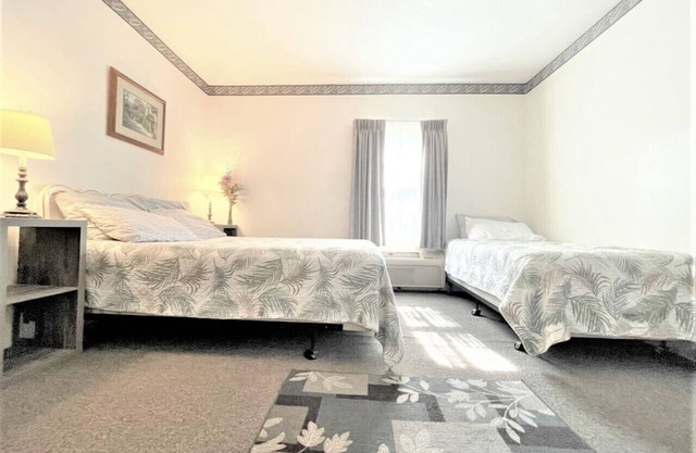 Apt. 4 - Ensuite Bath, Roku, Fridge/Micro, Queen