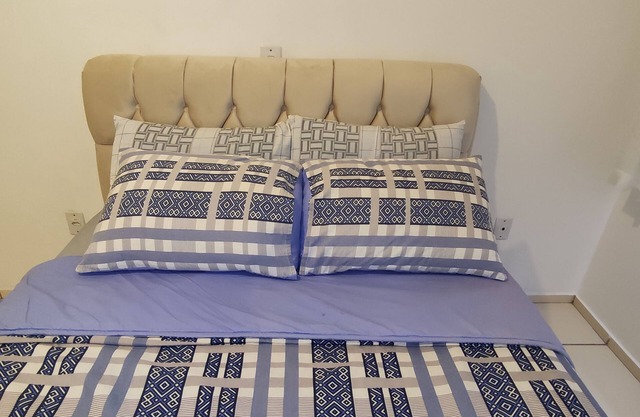 Apt Centro 2