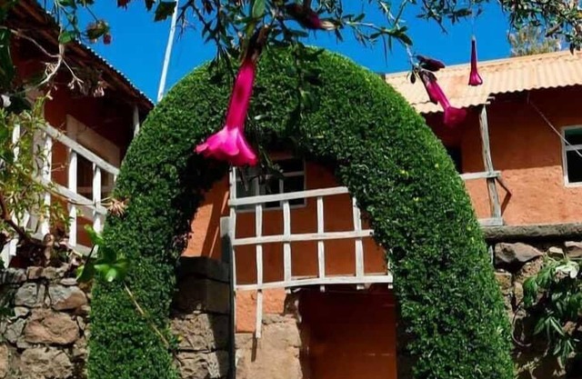 Arcowasi Amantani