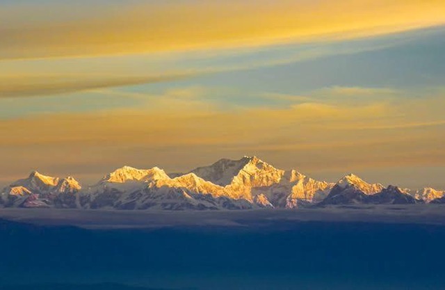 ARRIVED PELLING