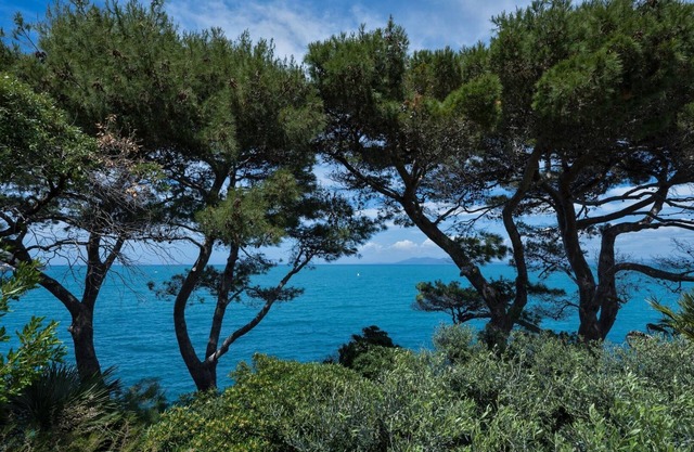 Attico, Punta Nera, Monte Argentario, Grosseto and Maremma