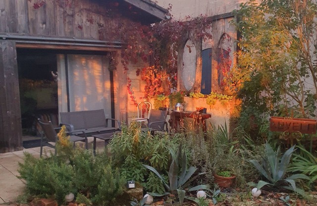 Au Vélo dans l'Arbre