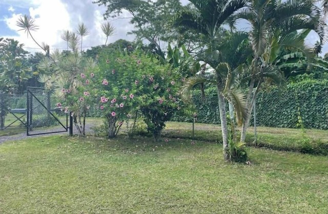 Aunty Fou's Home