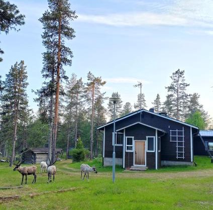 Aurora Cabin