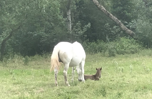 Aux Cœur de la Provence aux Portes de la Camargue
