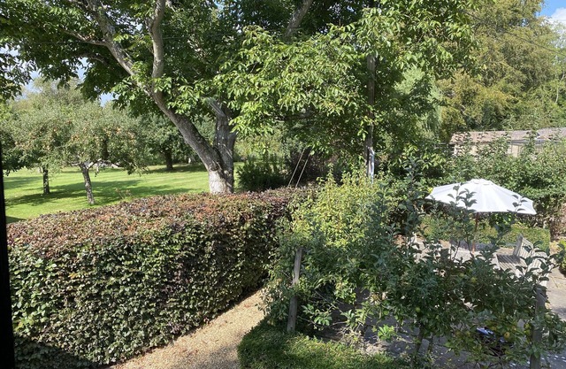Avon Turn View