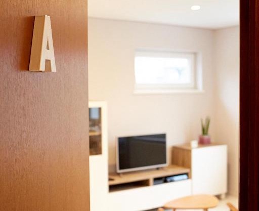 B2B-flats AALST