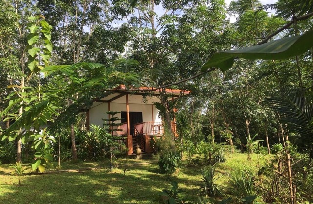 Baansuan Suksangob Farm Stay