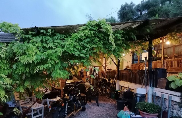 Back to nature, comfort lodging in an olive grove - a truly unique place to stay