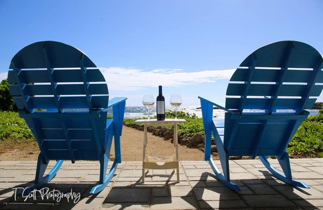 Backyard snorkeling with stunning views!