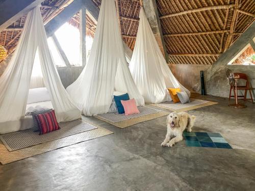 Baia Nest TURINGAN Loft, Self-Service Breakfast, Near the Beach, Pet Friendly with a Fee
