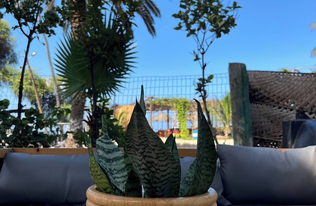 Baia Verde Resort Tarrafal