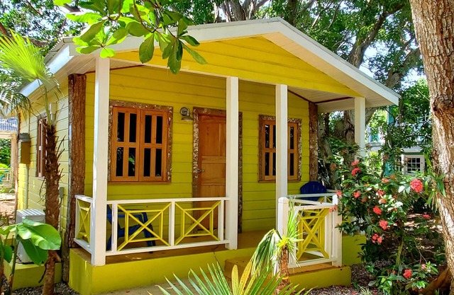 Bak A Yaad Eye Catching Cottage