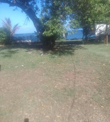Barbican Beach Front