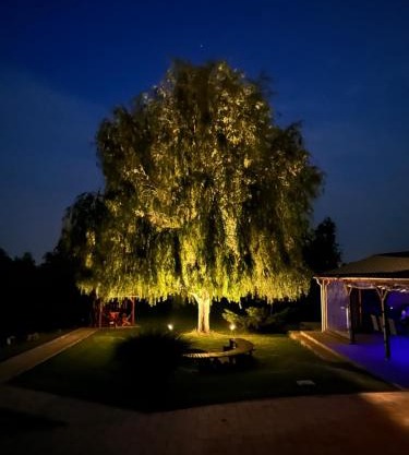 Battonya House