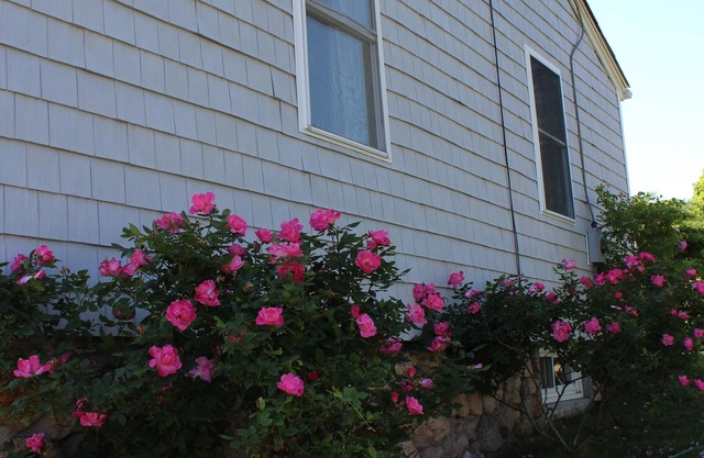 Beach Cottage 1 Mile From Weekapaug & Misquamicut