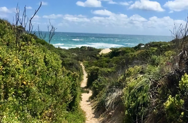 Beach Daze - just a short stroll to the beach access track