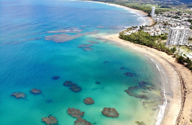 Beach-in Beach-out! Ocean and beach views await.