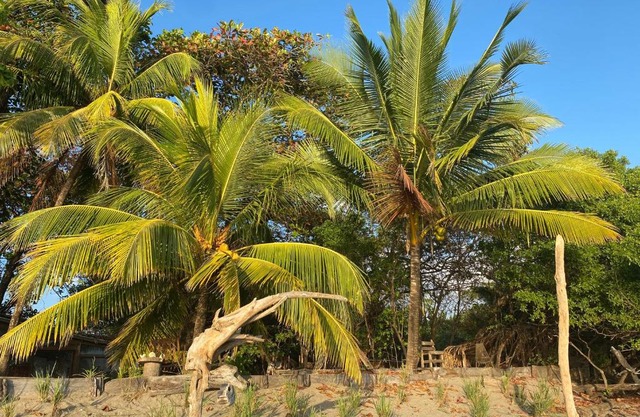 Beachfront Eco Private Cabina