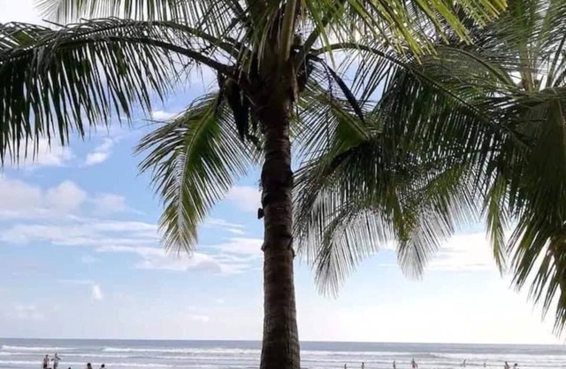 Beachfront Penthouse Condo with Amazing SunsetViews