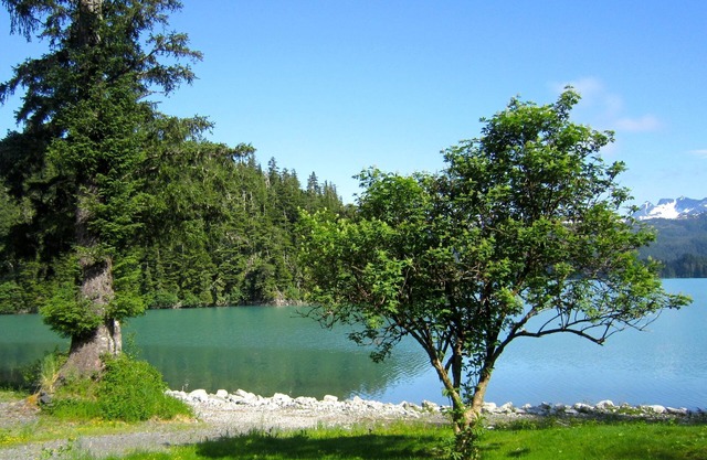 Bear Country Lodge #2