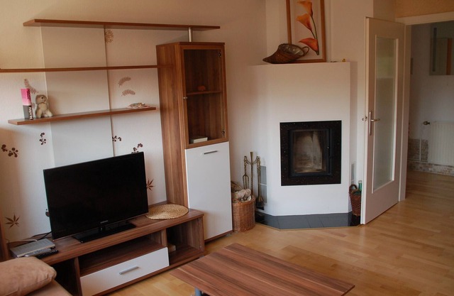 Beautiful 3-room apartment with fireplace oven near city, stylish