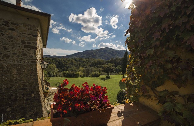 Beautiful Farmhouse Cà del Bosco in Lunigiana - Cypress Apartment