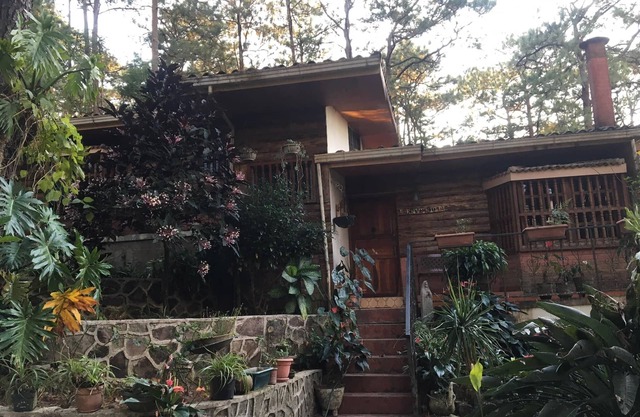 Beautiful house and a nice terrace in a forest