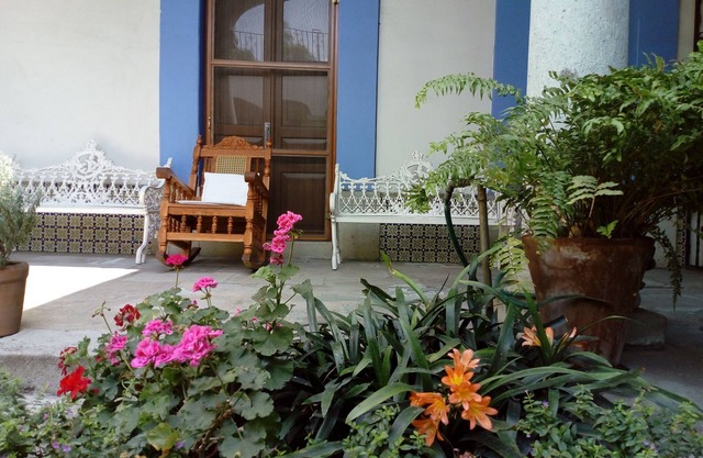 Beautiful House near Santo Domingo Church Oaxaca