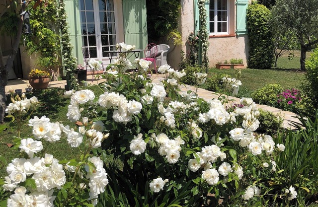 Beautiful House with excellent garden and pool. Three bedrooms,