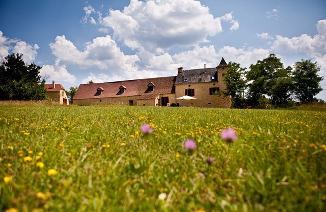 Beautiful Large House with Guesthouse, Pool and 4 Acres Grounds