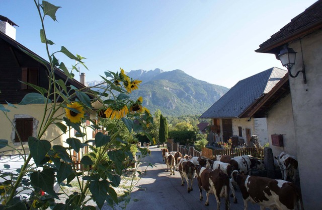 Beautifuly Converted Farm House close to Lake Annecy and Mountains