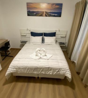 Bel appart calme climatisé parking privé gratuit sur demande D011