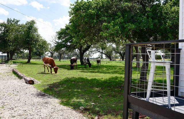 Best Fredericksburg Bed & Breakfast